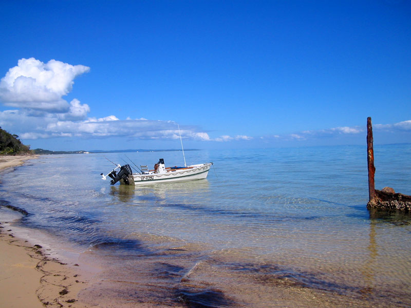Moreton Bay